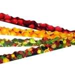 Trimmers Healthy Eating Display Assorted - 4 designs 12 x 1m