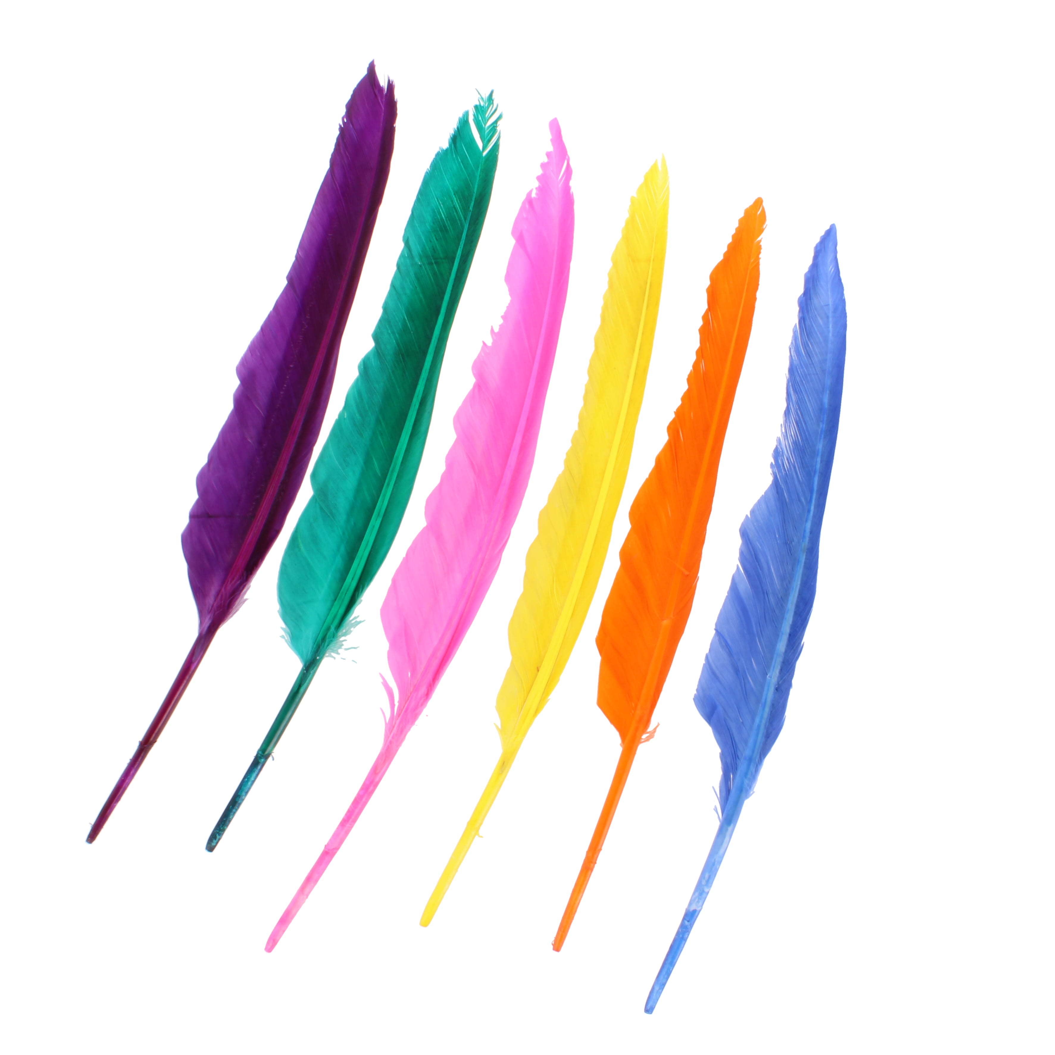 Feathers Indian - pack of 25