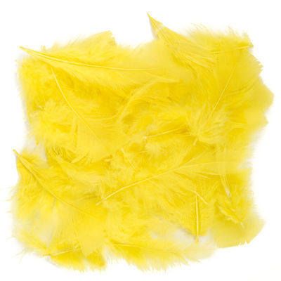 Yellow Feathers - 25g
