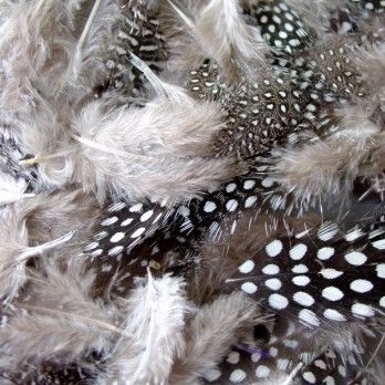 Feathers Monochrome Spotted - 28g