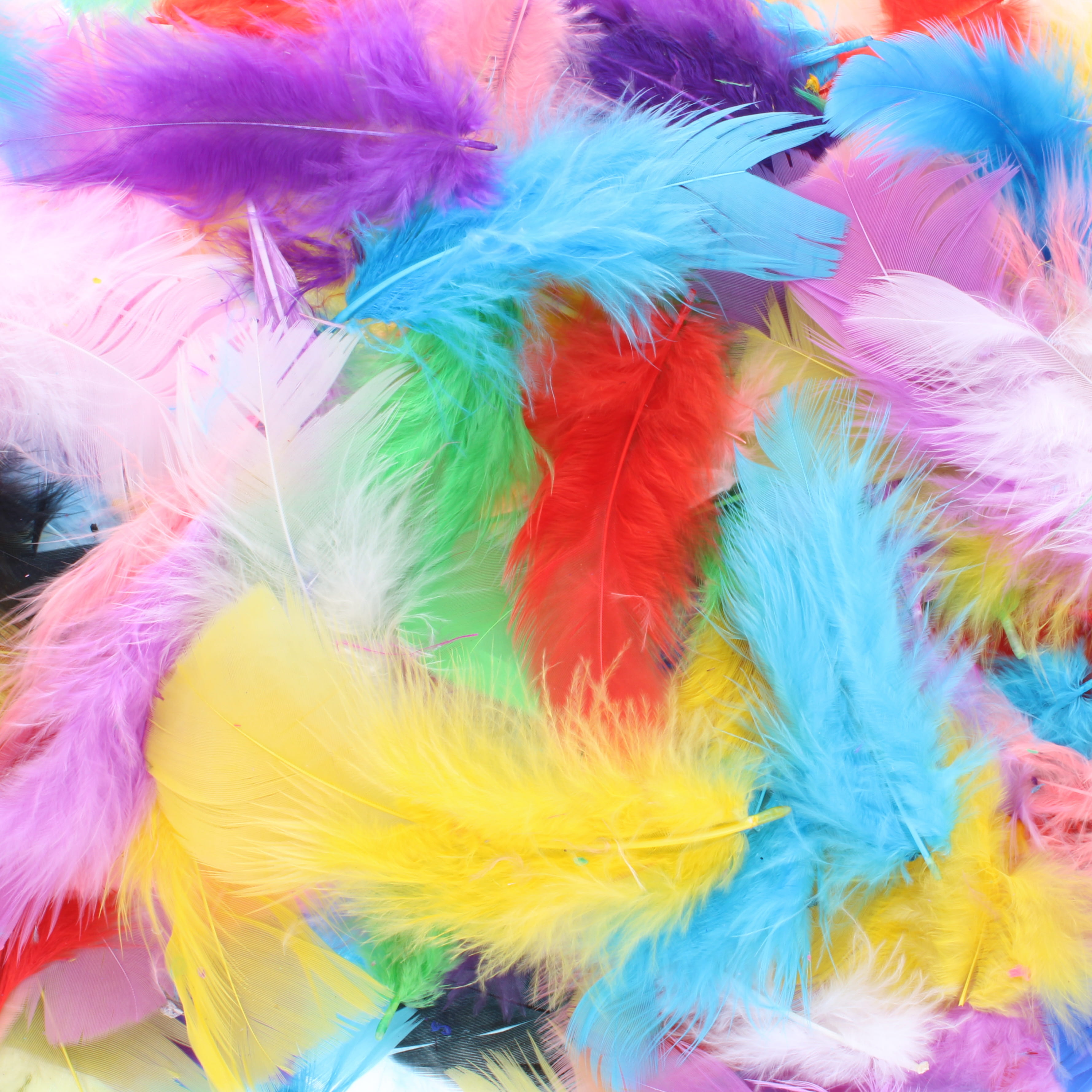 Feathers Small Assorted - 30g