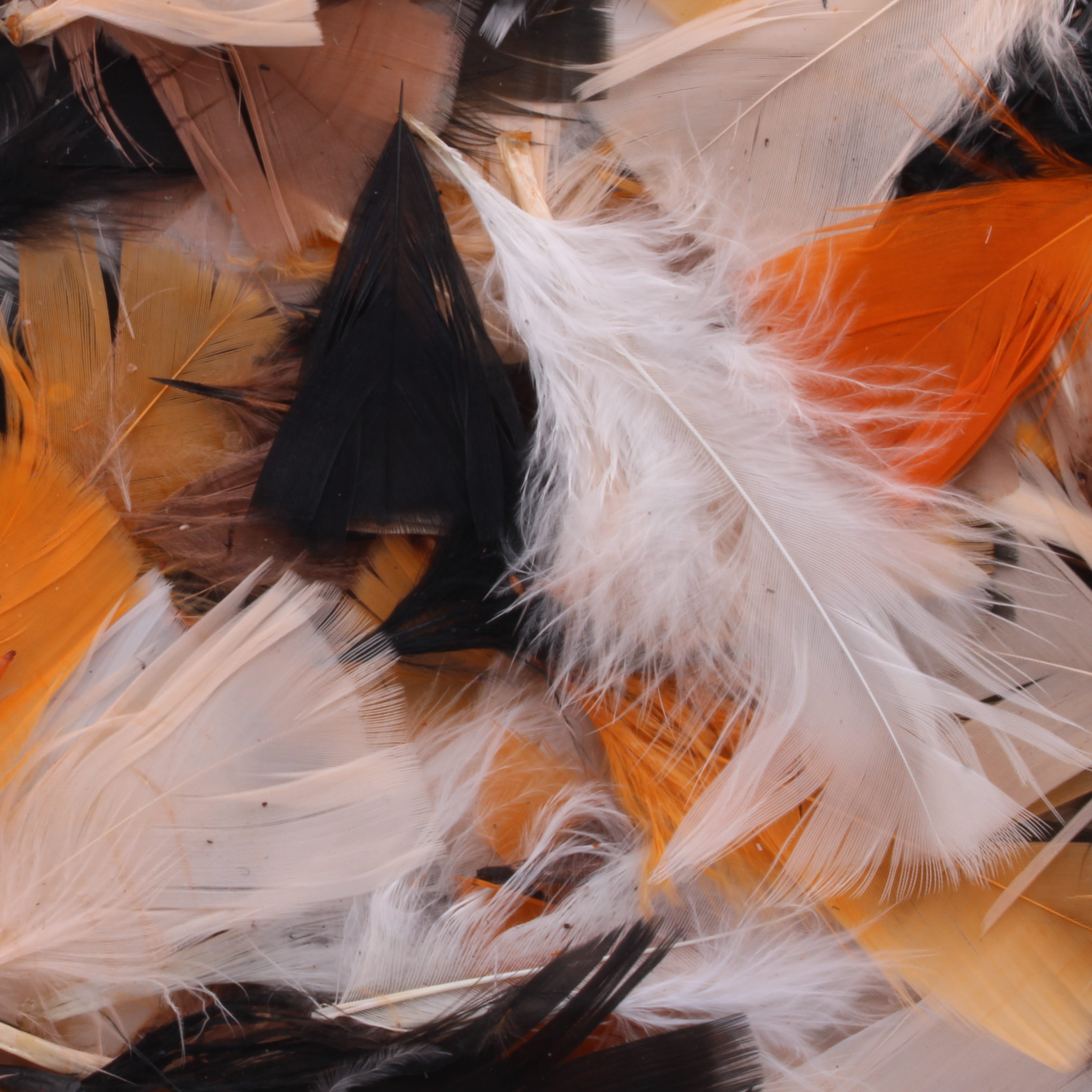 Feathers Autumnal Halloween - 50g