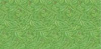 Fadeless Poster Display Roll Rainforest Tropical Foliage - 1218mm x 15m